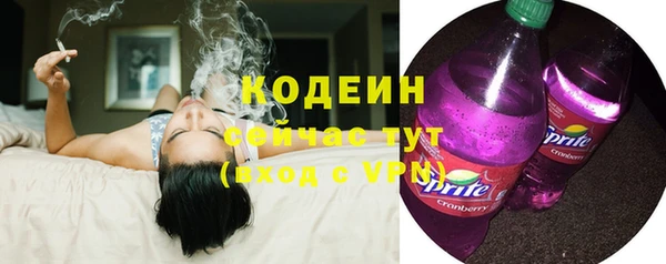 гидра Вяземский