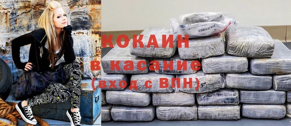 гидра Вяземский