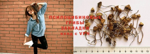 хмурый Вязьма