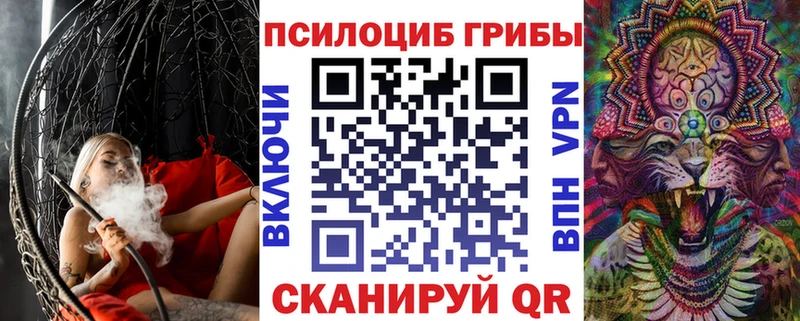 Псилоцибиновые грибы прущие грибы  Купить  Онега 